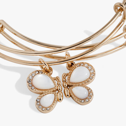 Alex and Ani Perfect Pairs- Butterfly Wings Bangle Set of 2