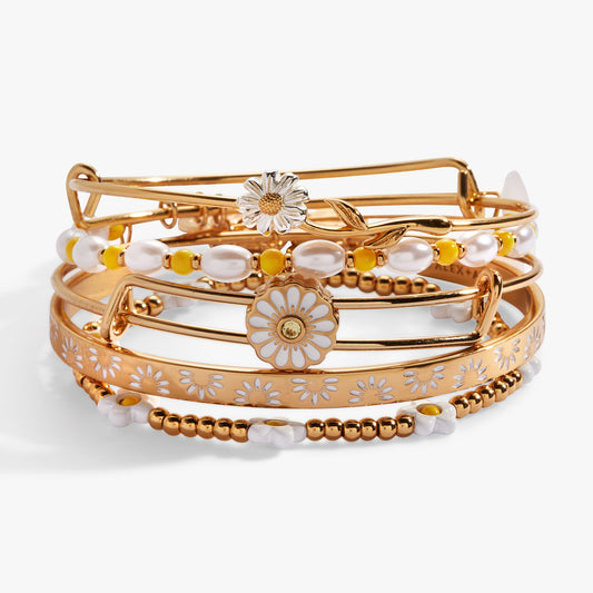 Alex and Ani Daisy Bangle set of 5