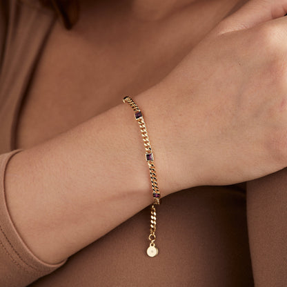 Alex and Ani Amethyst Curb Chain Bracelet, February Birthstone