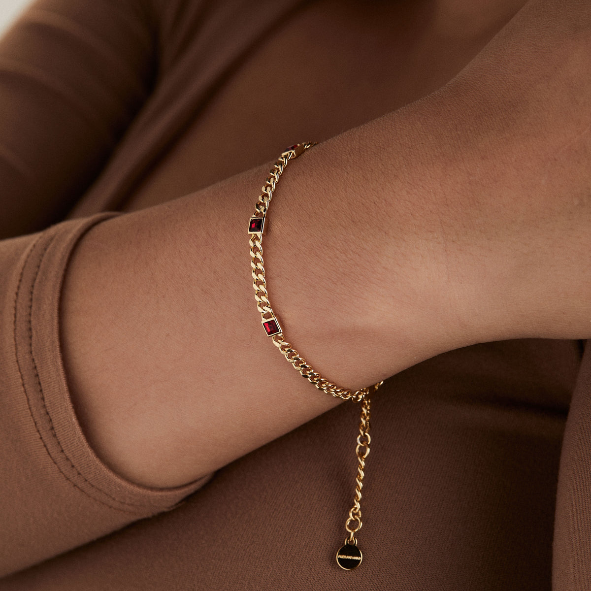 Alex and Ani Scarlet Curb Chain Bracelet, January Birthstone