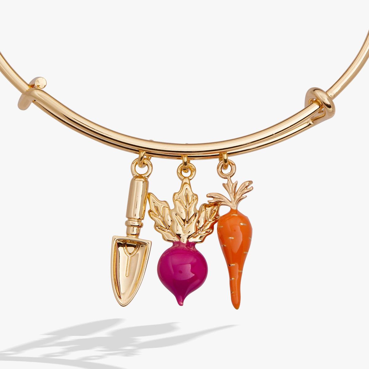 Alex and Ani Farmers' Market Multi Charm Bangle