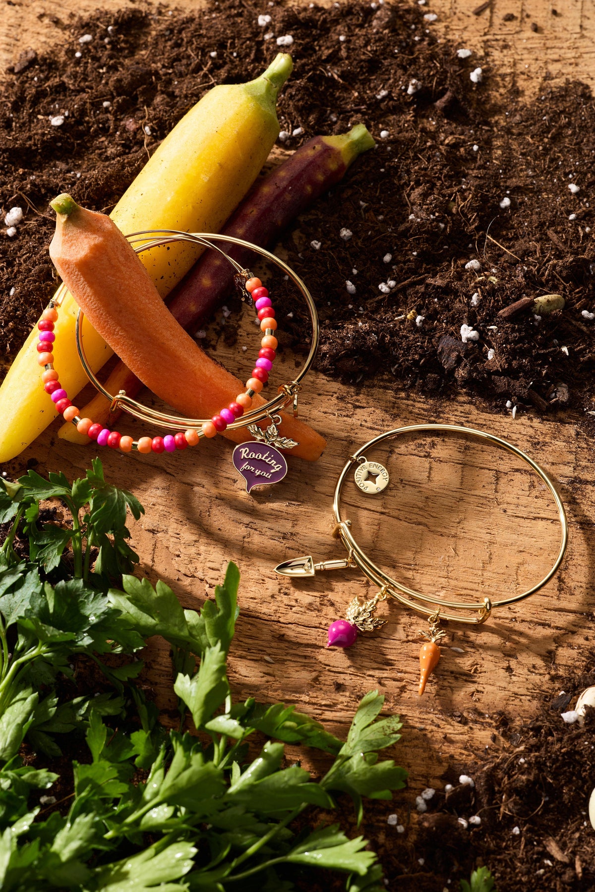 Alex and Ani Farmers Market 'Rooting For You' Charm Bangle