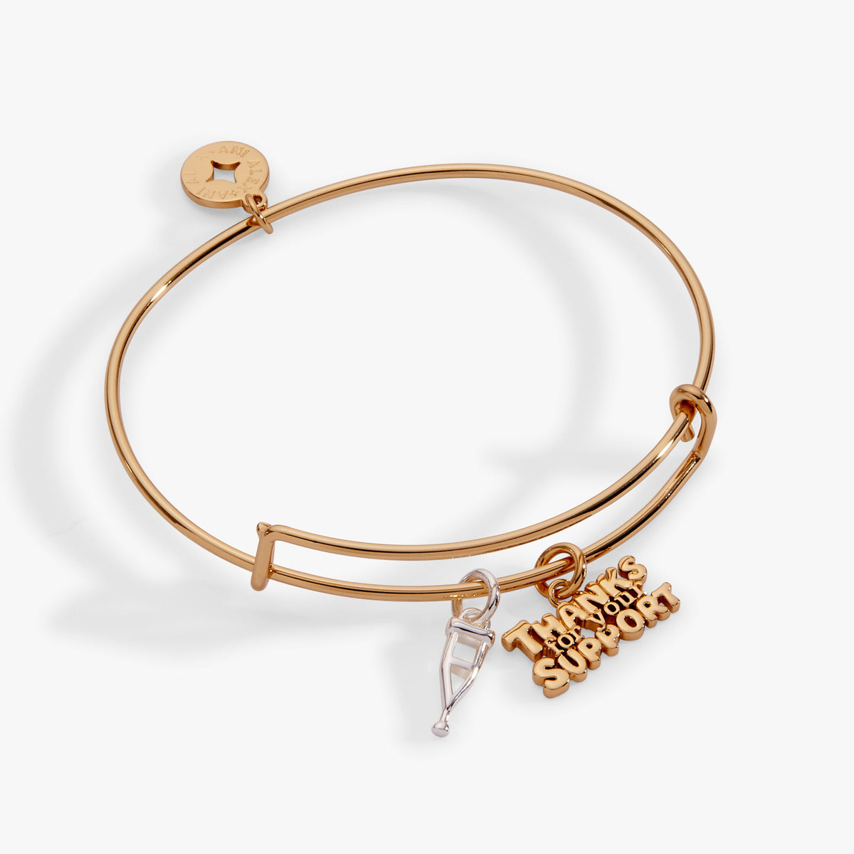 Alex and Ani Thanks For Your Support' Crutch Bangle
