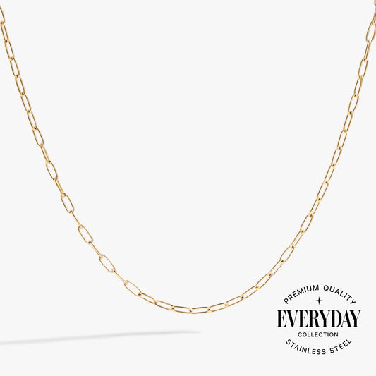 Alex and Ani Paperclip Charm & Layering Necklace