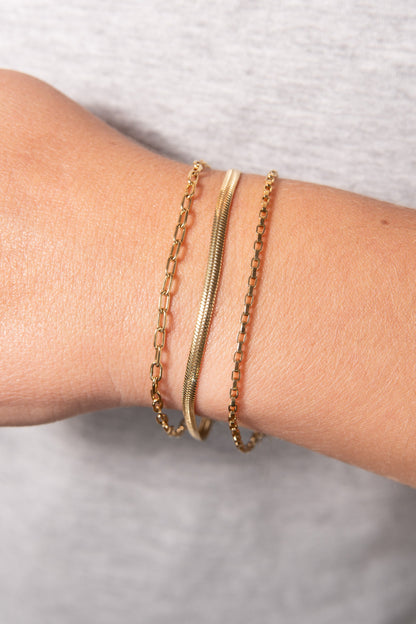 Alex and Ani Everyday Paperclip Chain Bracelet