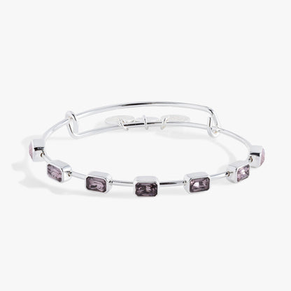 Alex and Ani Choose-Your-Birthstone Bangle & Stud Set