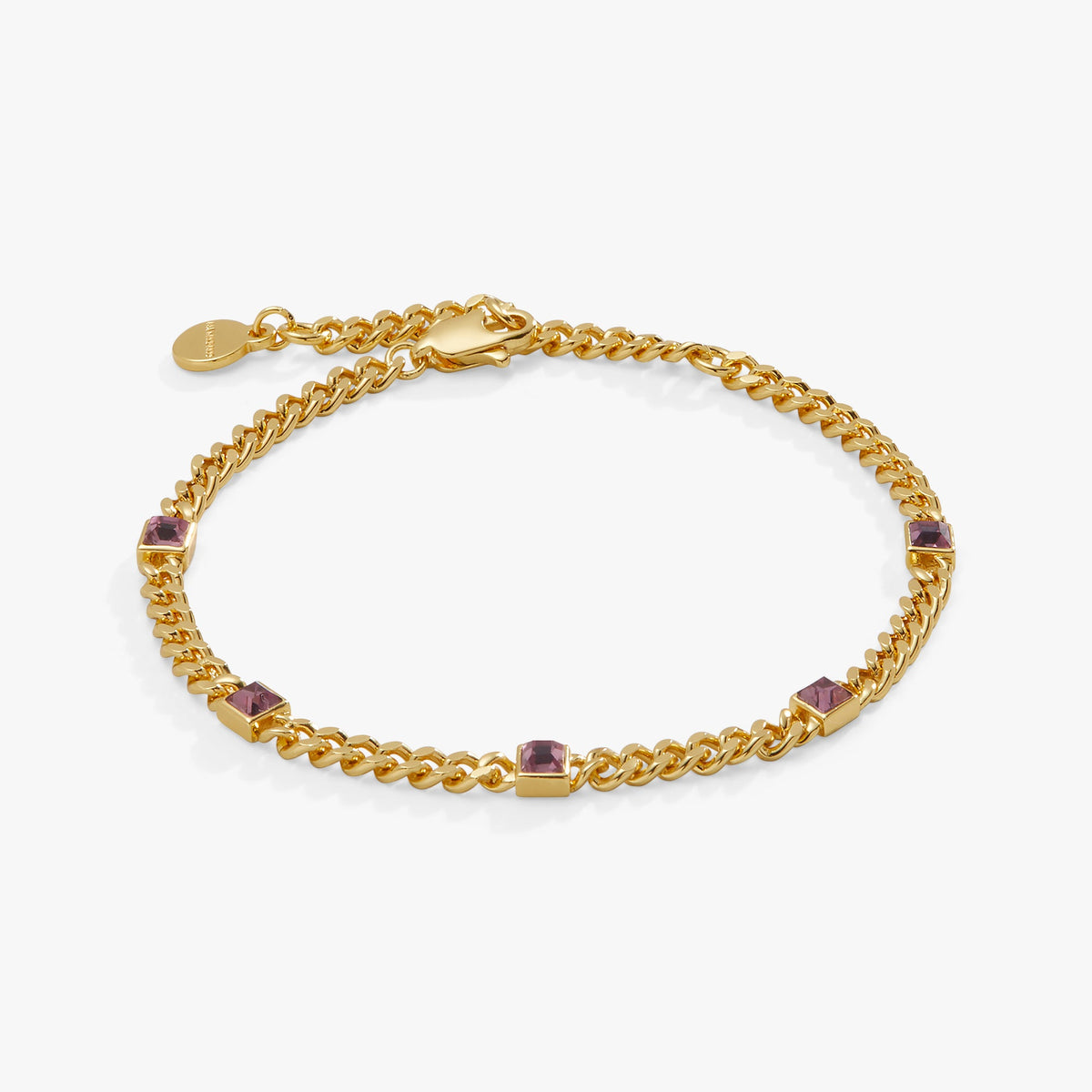 Alex and Ani Light Amethyst Curb Chain Bracelet, June Birthstone