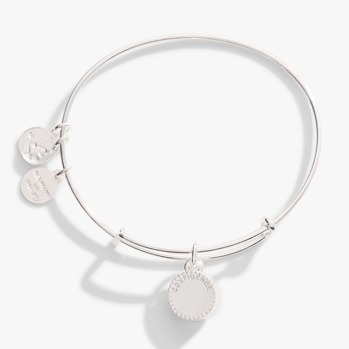 Alex and Ani Light Amethyst June Birthstone Charm Bangle