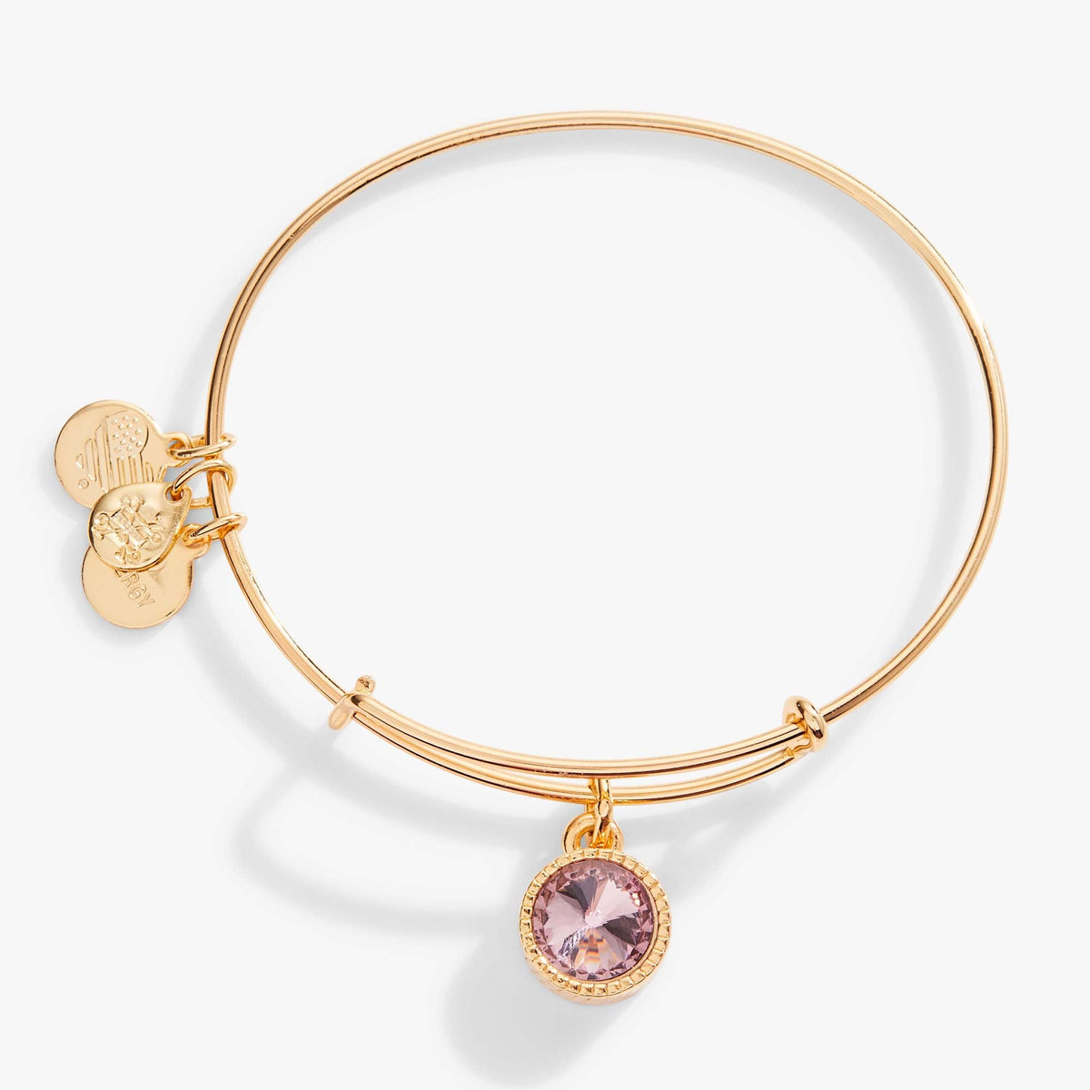 Alex and Ani Light Amethyst June Birthstone Charm Bangle