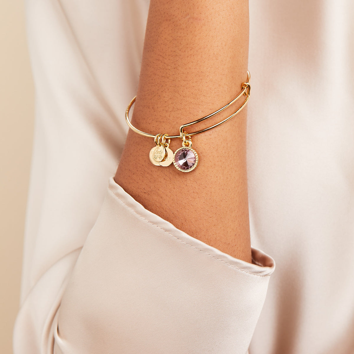 Alex and Ani Light Amethyst June Birthstone Charm Bangle