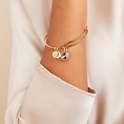 Alex and Ani Light Amethyst June Birthstone Charm Bangle
