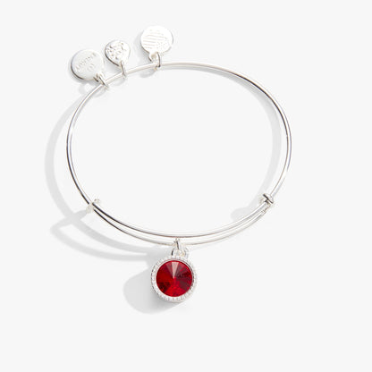 Alex and Ani Ruby July Birthstone Charm Bangle