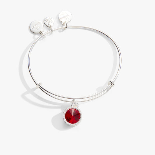 Alex and Ani Ruby July Birthstone Charm Bangle