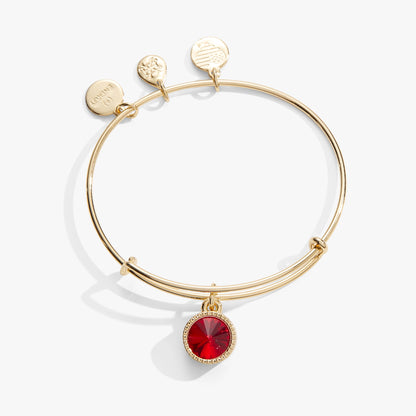 Alex and Ani Ruby July Birthstone Charm Bangle