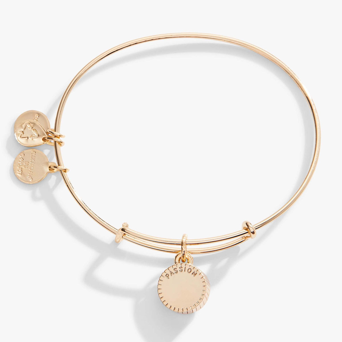 Alex and Ani Ruby July Birthstone Charm Bangle