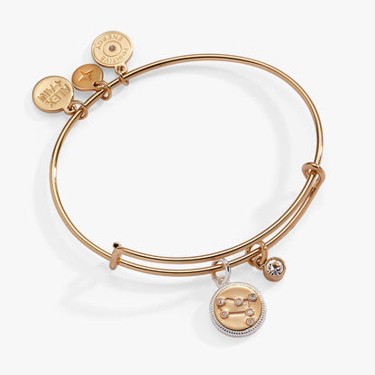 Alex and Ani Gemini Zodiac Charm Bangle