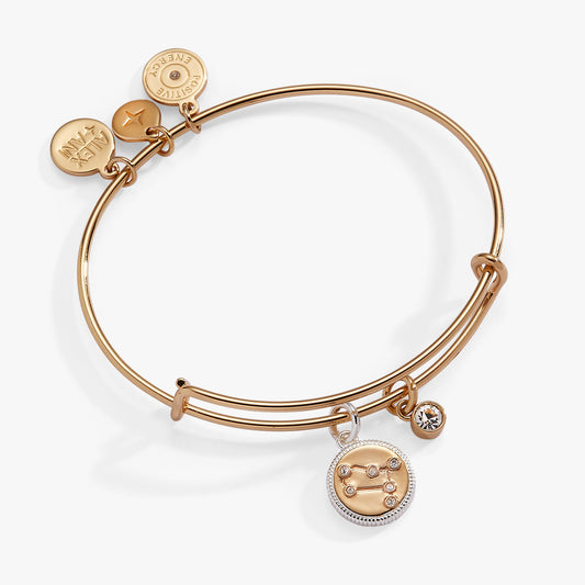 Alex and Ani Gemini Zodiac Charm Bangle