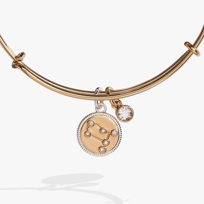 Alex and Ani Gemini Zodiac Charm Bangle
