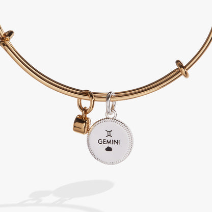 Alex and Ani Gemini Zodiac Charm Bangle