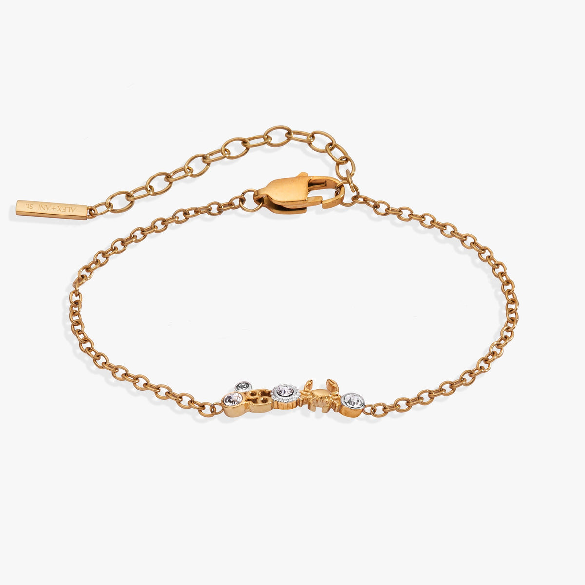 Alex and Ani Cancer Symbol Inline Bracelet