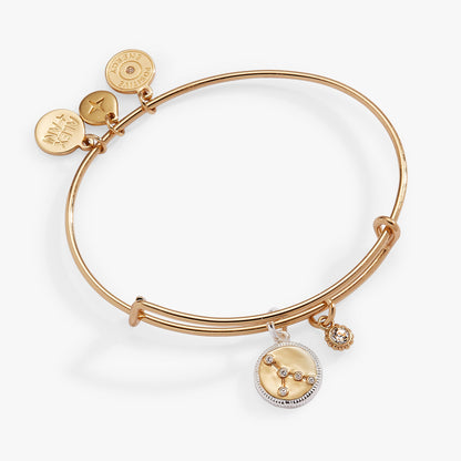 Alex and Ani Cancer Zodiac Charm Bangle