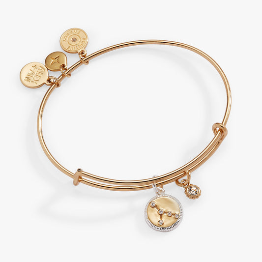 Alex and Ani Cancer Zodiac Charm Bangle