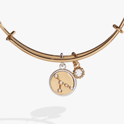 Alex and Ani Cancer Zodiac Charm Bangle