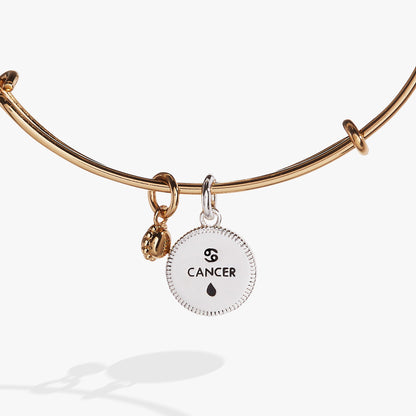 Alex and Ani Cancer Zodiac Charm Bangle