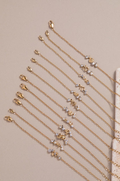 Alex and Ani Leo Symbol Inline Bracelet