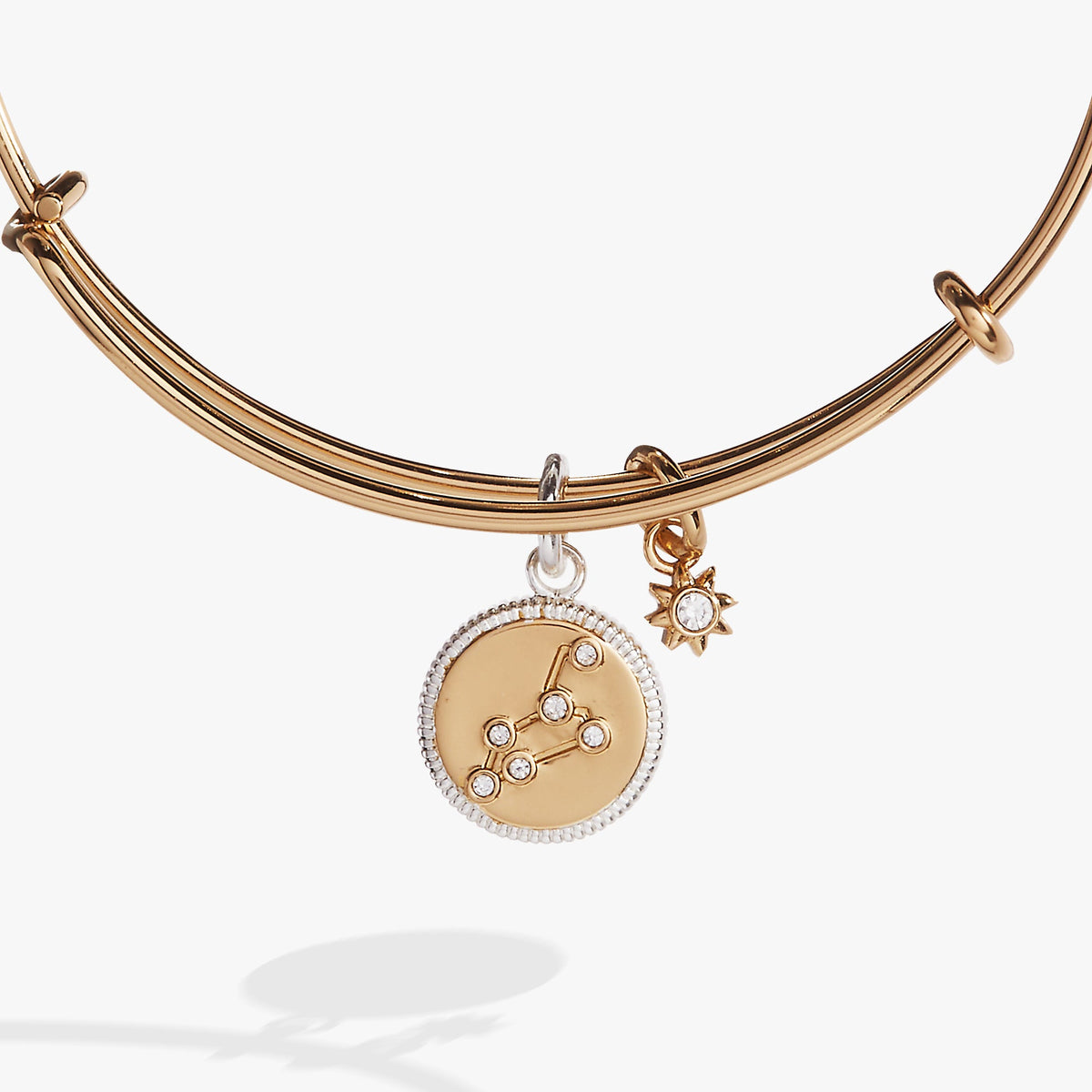 Alex and Ani Leo Zodiac Charm Bangle