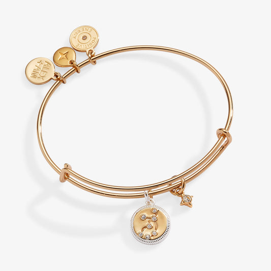 Alex and Ani Virgo Zodiac Charm Bangle
