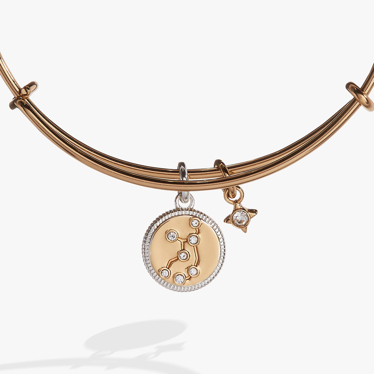 Alex and Ani Virgo Zodiac Charm Bangle