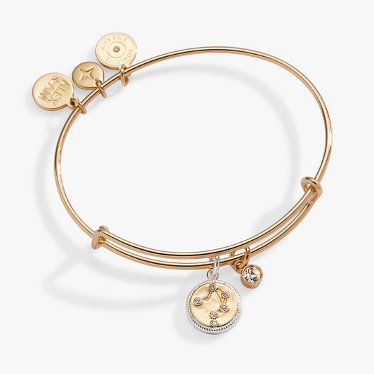 Alex and Ani Libra Zodiac Charm Bangle
