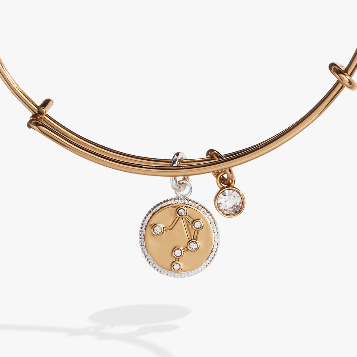 Alex and Ani Libra Zodiac Charm Bangle