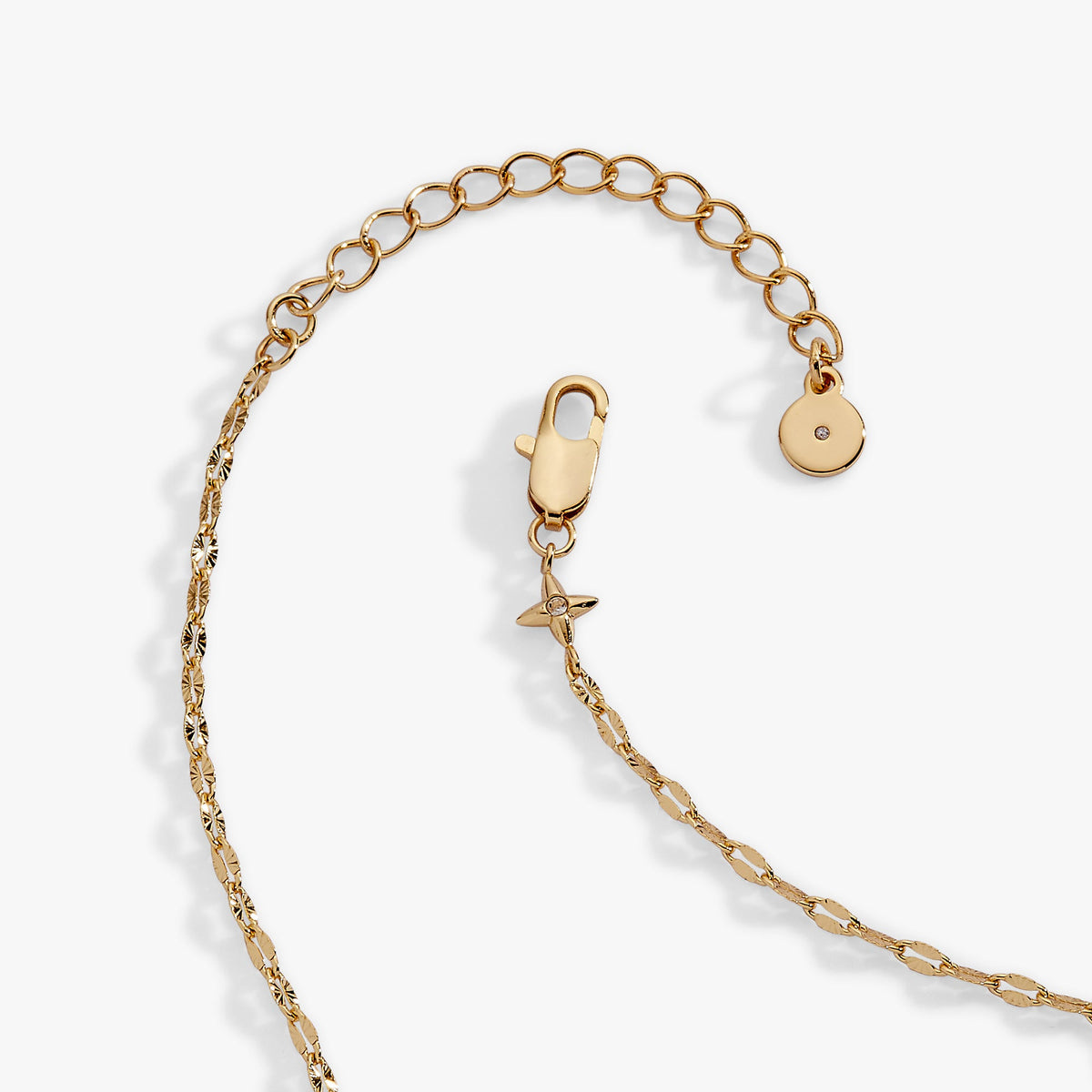 Alex and Ani Faceted Lip Chain Necklace
