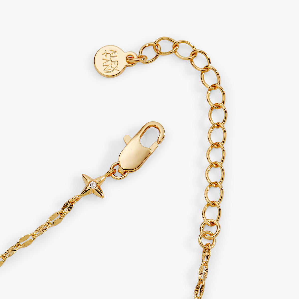 Alex and Ani Faceted Lip Chain Bracelet