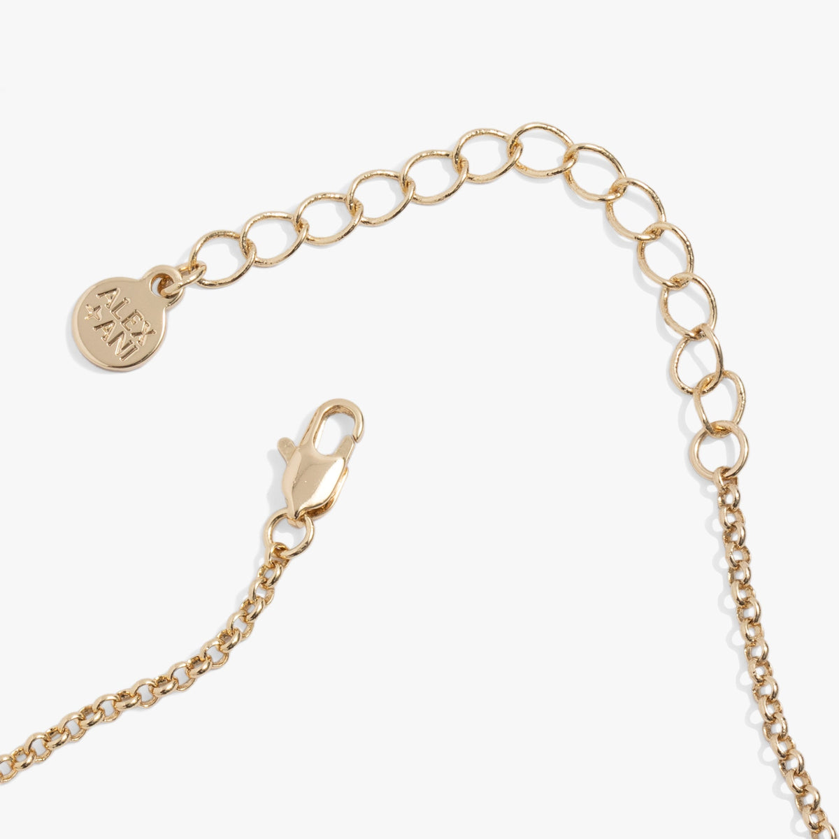 Alex and Ani Bamboo Pendant