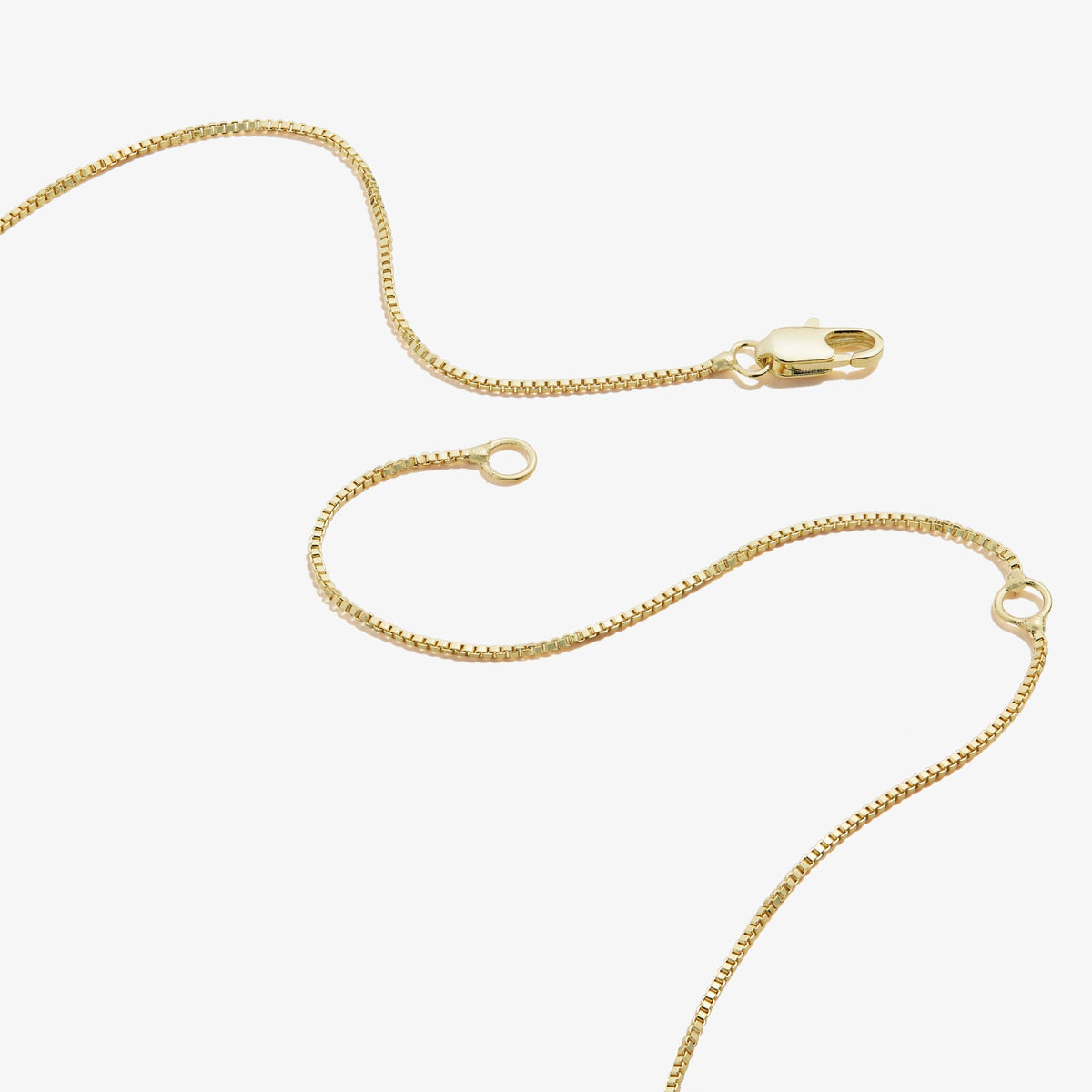 Alex and Ani Slider Tag Heart Charm Necklace