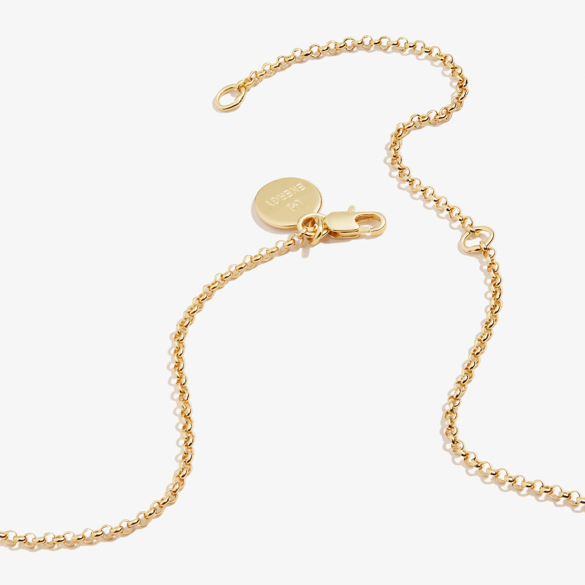 Alex and Ani Circle Charm Necklace - Alex and Ani