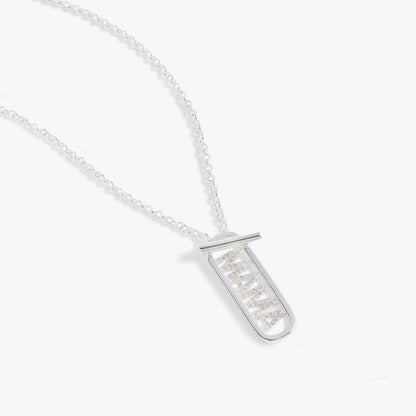 Alex and Ani Mama Toggle Pendant Necklace