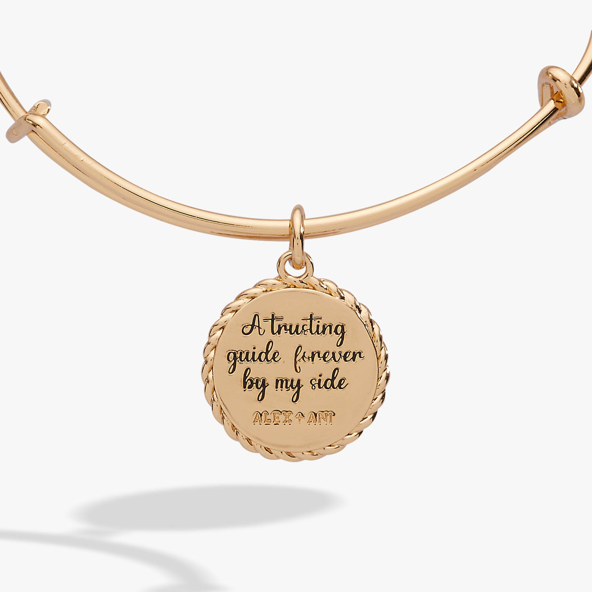 Alex and Ani Aunt Charm Bangle