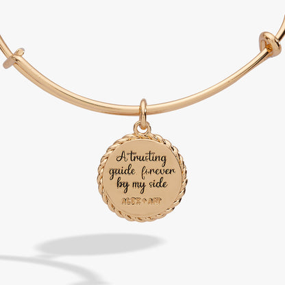 Alex and Ani Aunt Charm Bangle
