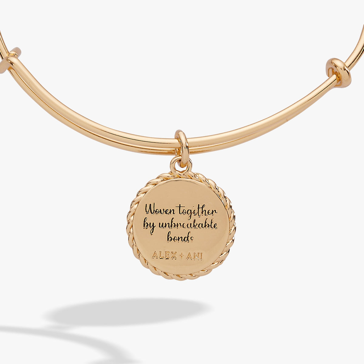 Alex and Ani Sister Charm Bangle