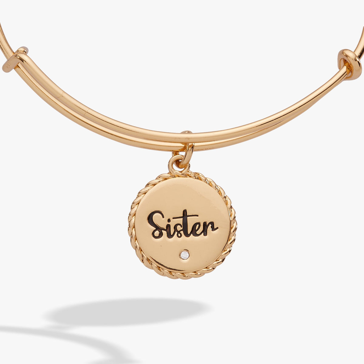 Alex and Ani Sister Charm Bangle
