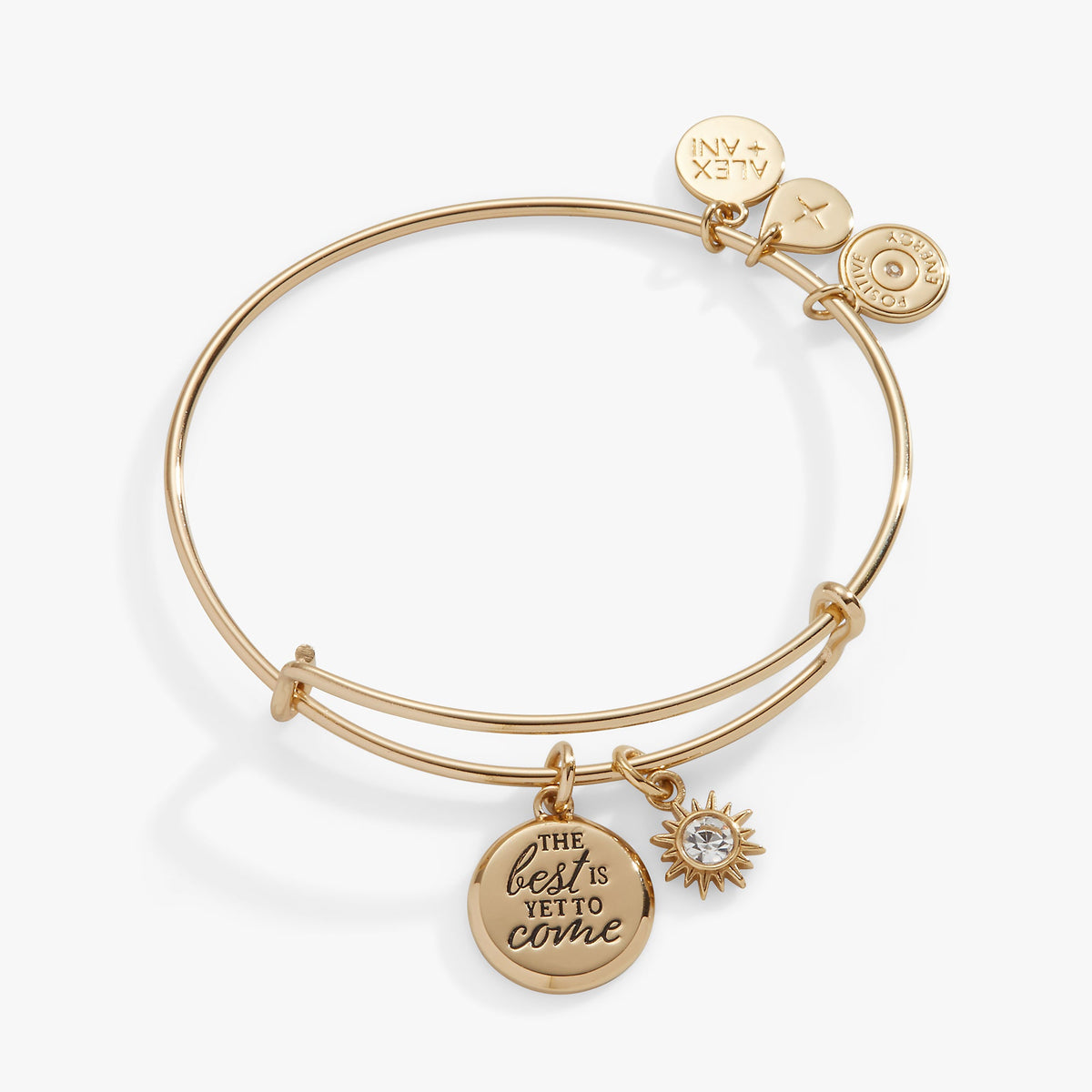 Alex and Ani The Best Is Yet To Come' Duo Charm Bangle