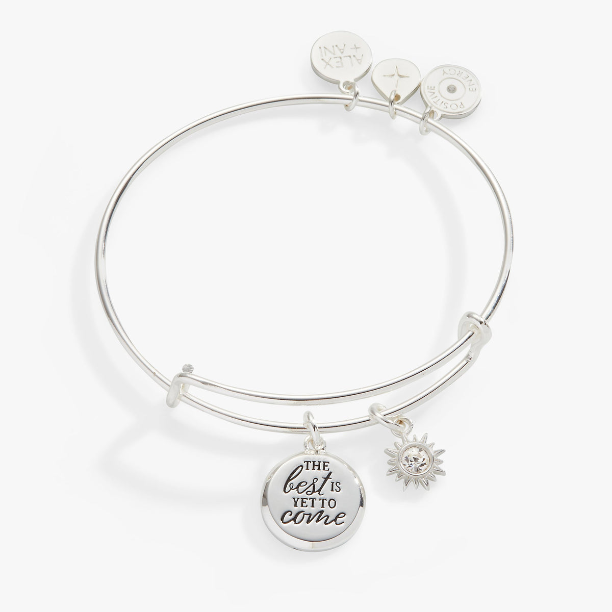 Alex and Ani The Best Is Yet To Come' Duo Charm Bangle