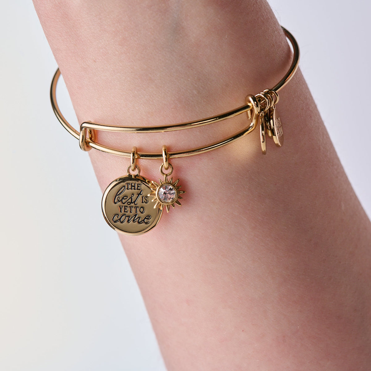 Alex and Ani The Best Is Yet To Come' Duo Charm Bangle