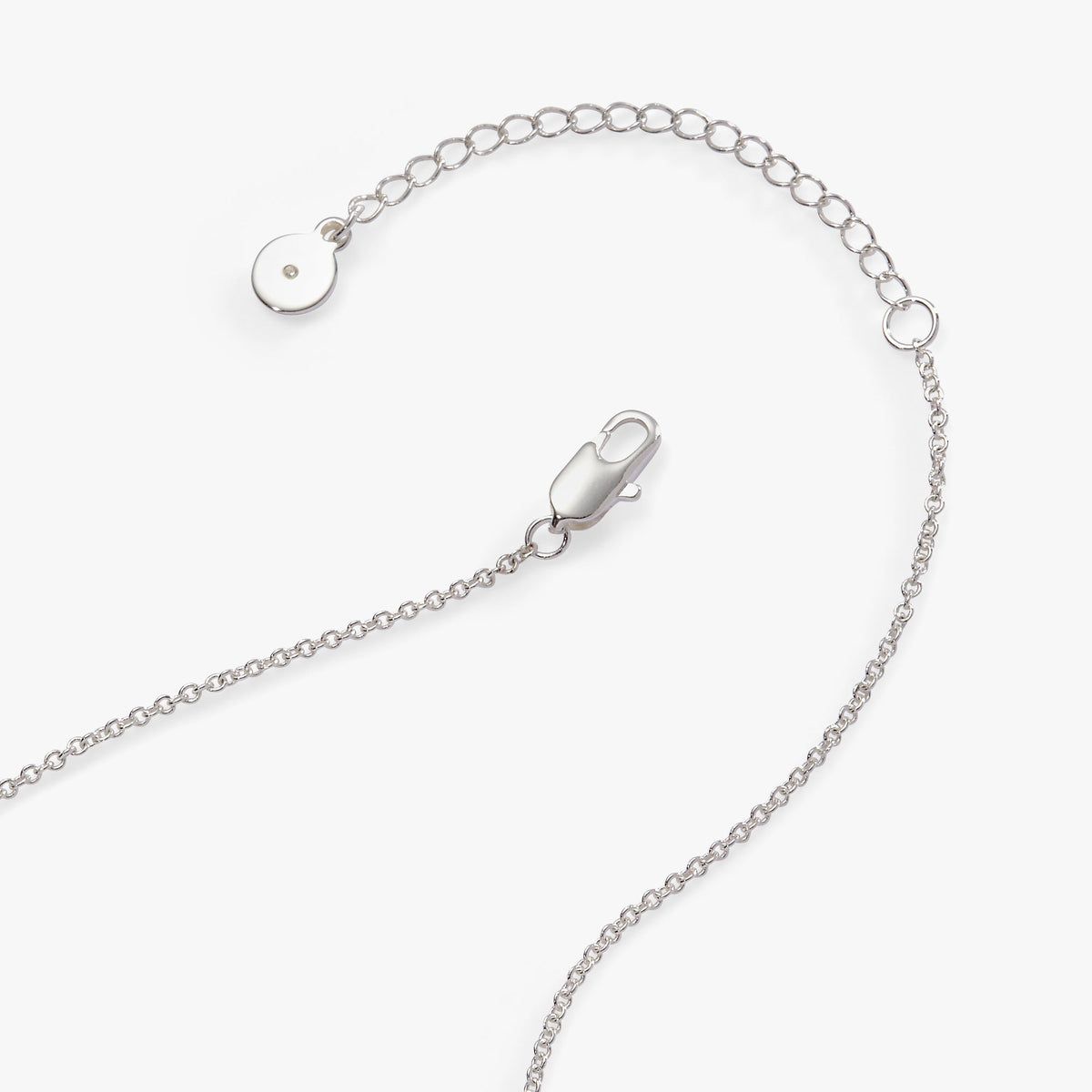 Alex and Ani “Make Your Own Luck” Duo Charm Pendant Necklace