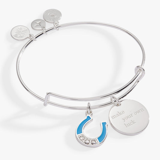 Alex and Ani “Make Your Own Luck” Duo Charm Bangle