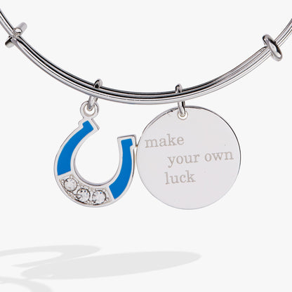 Alex and Ani “Make Your Own Luck” Duo Charm Bangle